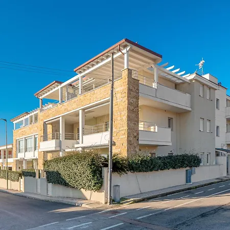 Cormorani - 13 Golfo Aranci